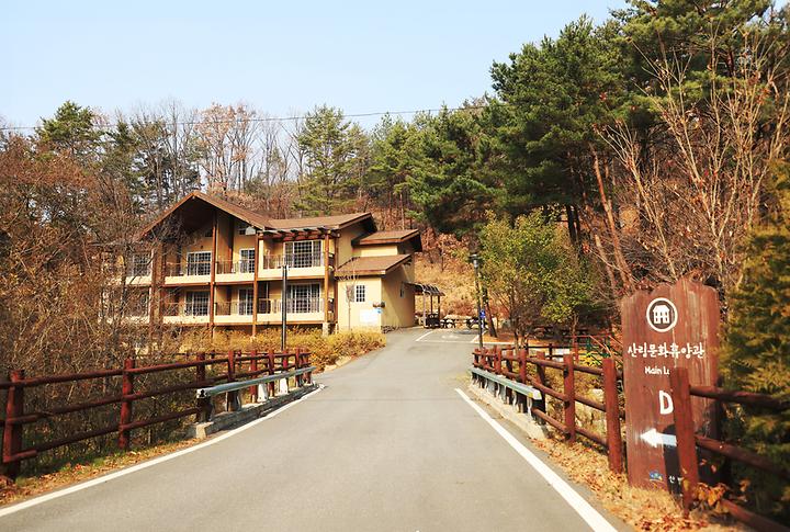 국립용화산자연휴양림 야영장 실제 전경