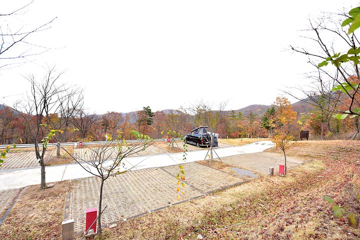 국립유명산자연휴양림 야영장 실제 전경